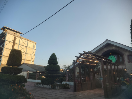 عکس کافه کازی