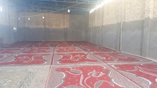 عکس دامداری محمدی