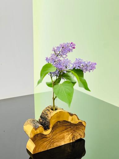 عکس کافه راندو