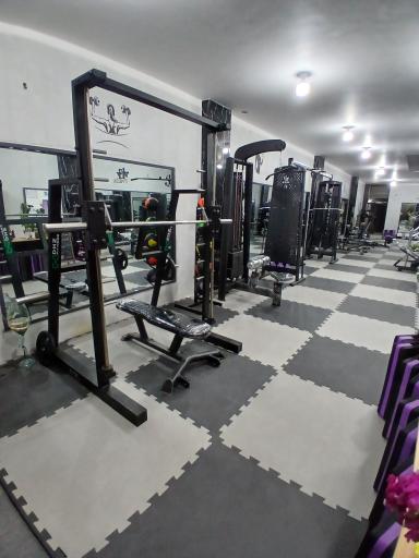 عکس باشگاه ورزشی تخصصی تناسب اندام بانوان آرامیس