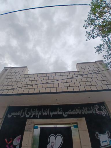 عکس باشگاه ورزشی تخصصی تناسب اندام بانوان آرامیس