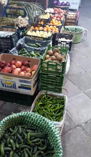 عکس سوپر میوه نوردی