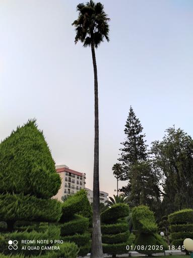 عکس متل بانک ملی بابلسر