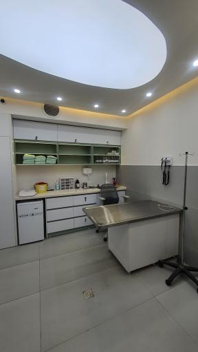 کلینیک دامپزشکی لیام