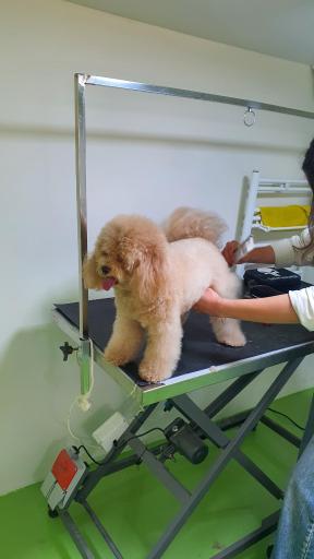 عکس کلینیک دامپزشکی لیام