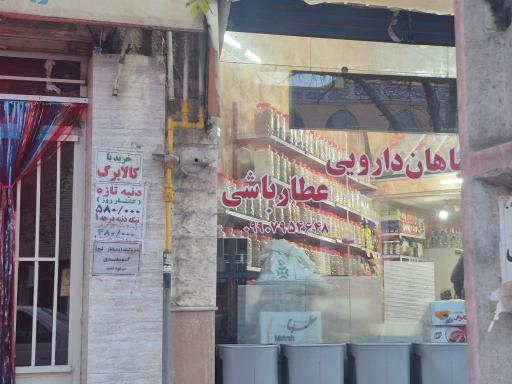 عکس عطاری عطار باشی 