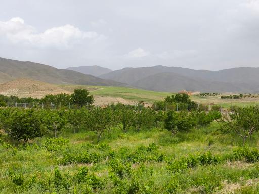 عکس دررود