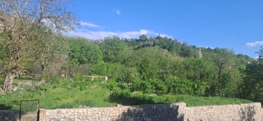 عکس دررود