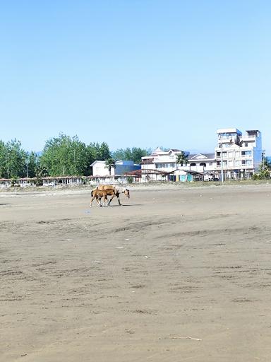 عکس ساحل چمخاله