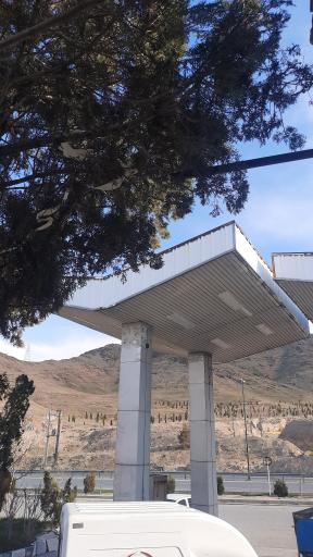 عکس پمپ گاز CNG