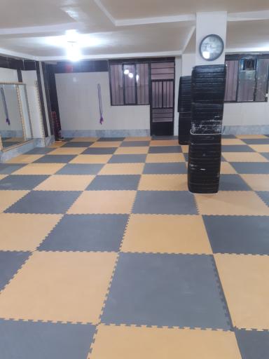 عکس باشگاه شاین