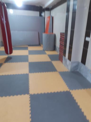 عکس باشگاه شاین