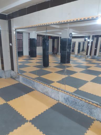 باشگاه شاین