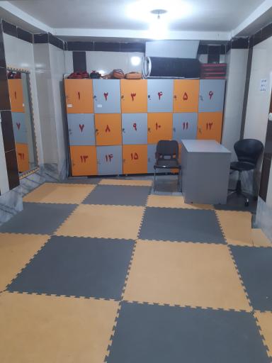 عکس باشگاه شاین