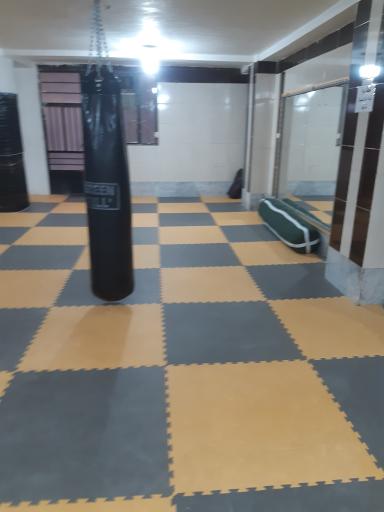 باشگاه شاین