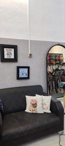 عکس پت شاپ نیک