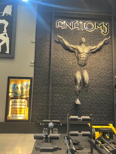 عکس باشگاه وی آی پی آناتومی