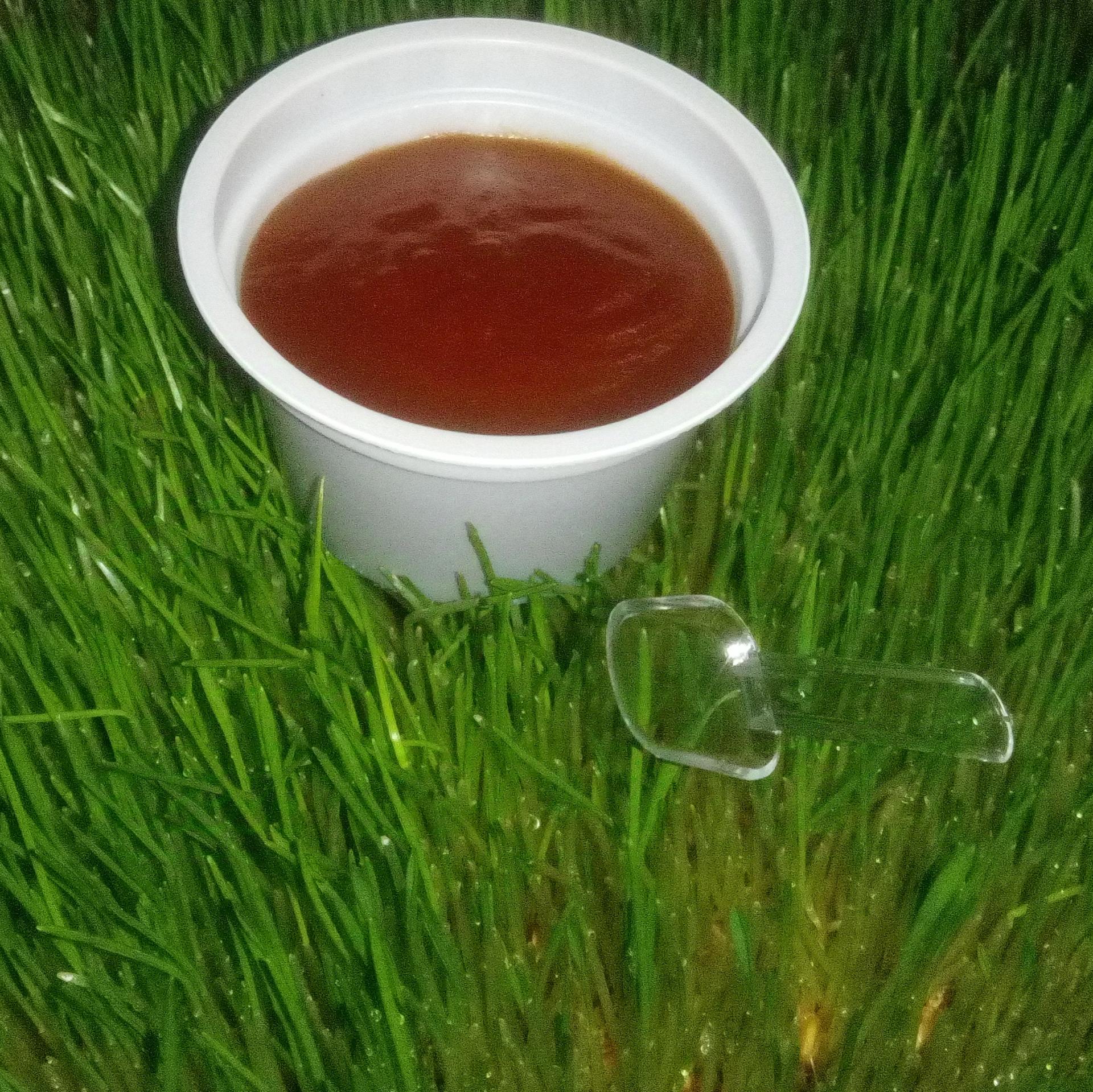 عکس سمنو و لبنیات محلی گلبهار