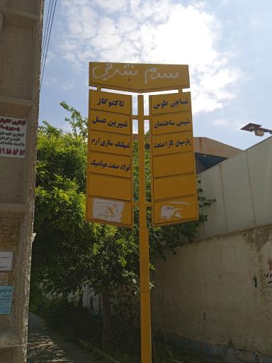 عکس شیرین عسل