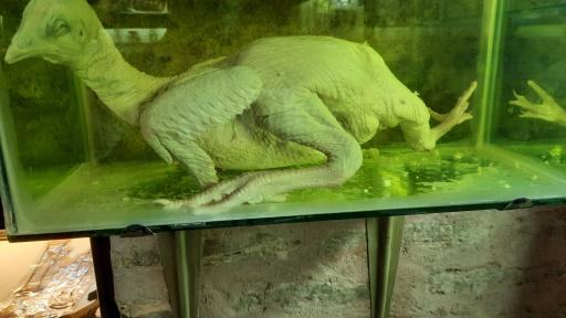 عکس موزه حیات وحش نیشابور