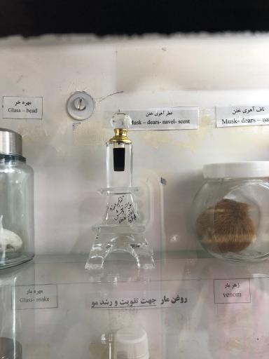 موزه حیات وحش نیشابور