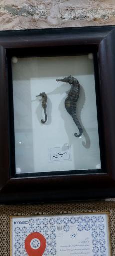 عکس موزه حیات وحش نیشابور