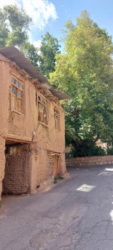 عکس درخت چنار ۷۵۰ ساله