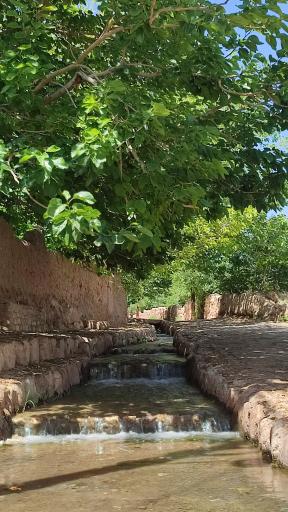 عکس باغ راه نی کیژه