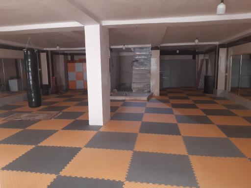 عکس باشگاه شاین