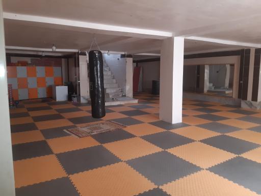 عکس باشگاه شاین