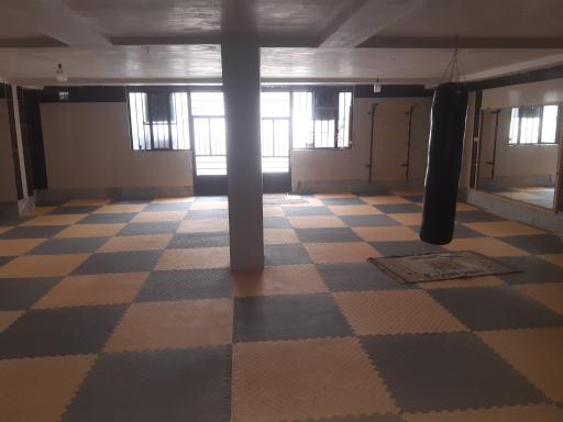 باشگاه شاین