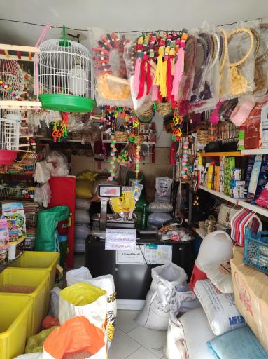 عکس دان پرندگان عدالت 2