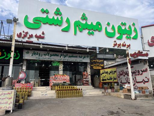 عکس زيتون میثم رشتی 