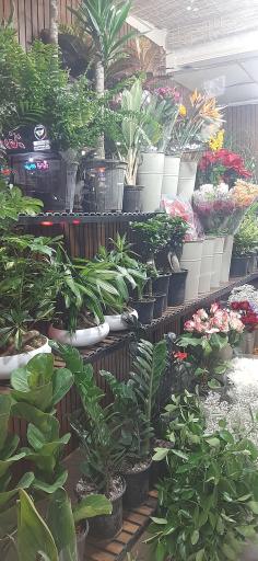 عکس گلفروشی ابی گل