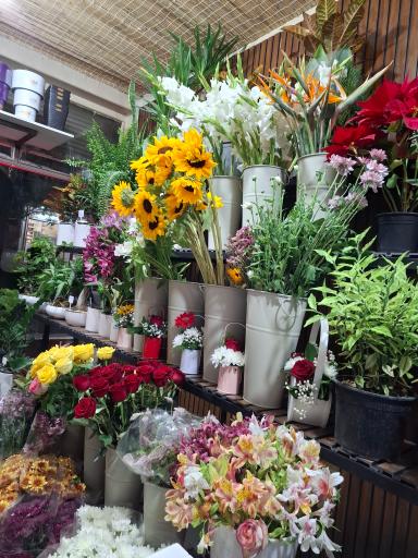 عکس گلفروشی ابی گل