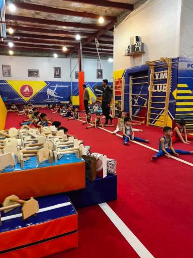 عکس آکادمی ژیمناستیک علیشاهی