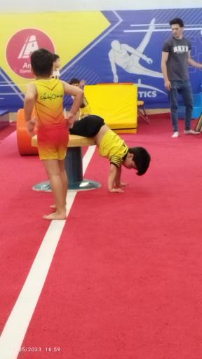 عکس آکادمی ژیمناستیک علیشاهی