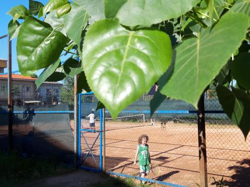 عکس مجموعه ورزشی  مهر