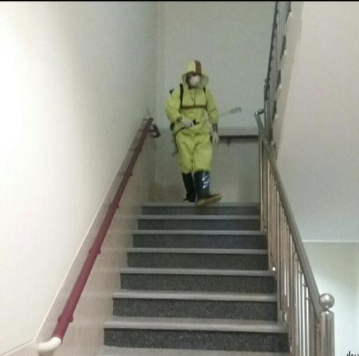 عکس شرکت سمپاشی راد البرز