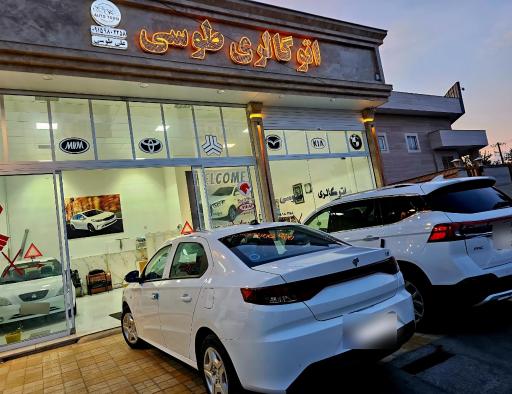 عکس نمایشگاه اتومبیل طوسی 