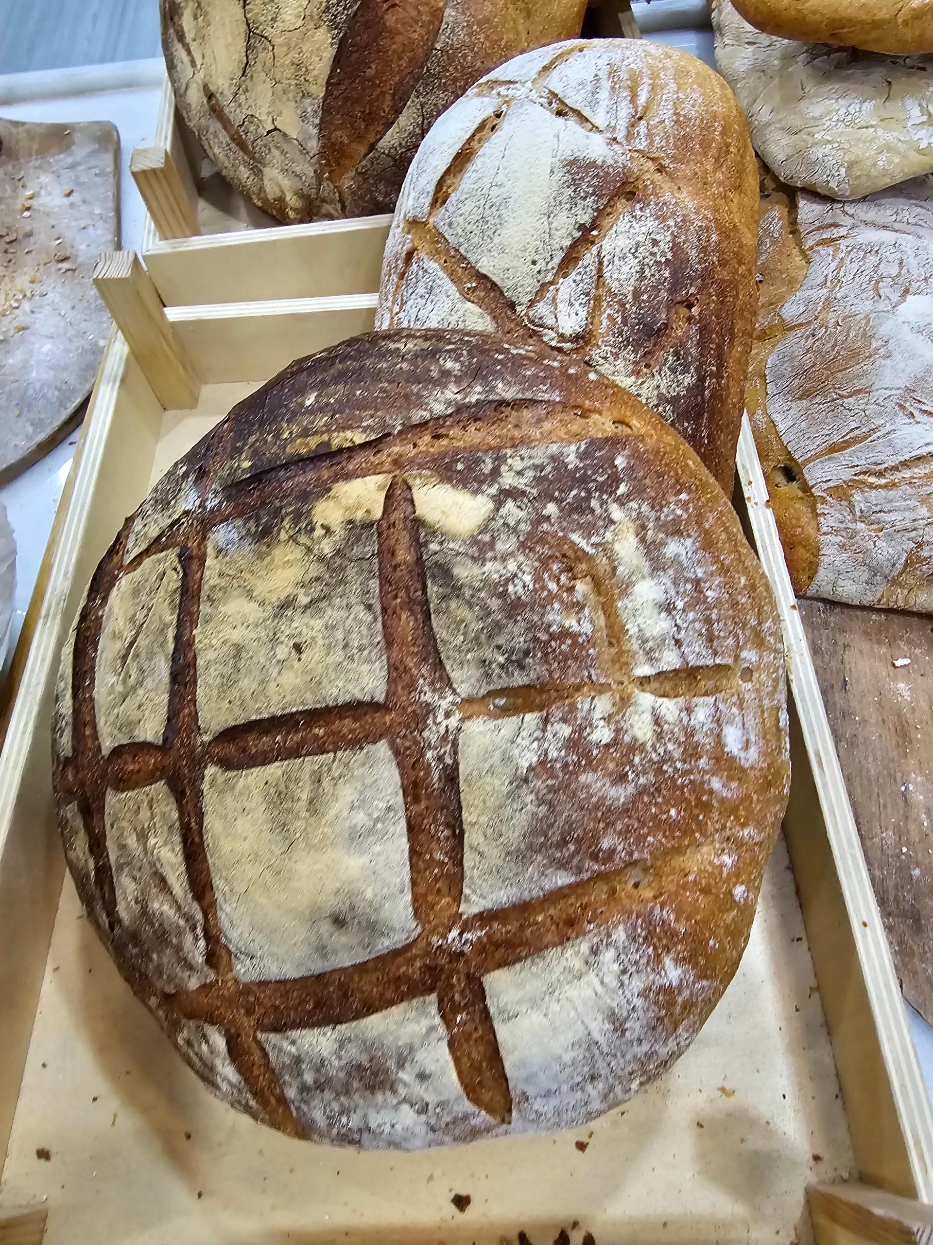 عکس صنایع پخت مشهد