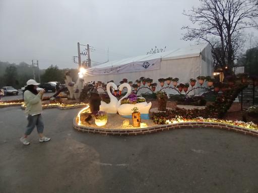 عکس نمایشگاه گل و عکاسی پردیس نهارخوران