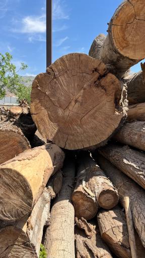 عکس صنایع دستی و اکسسوری چوبی روز