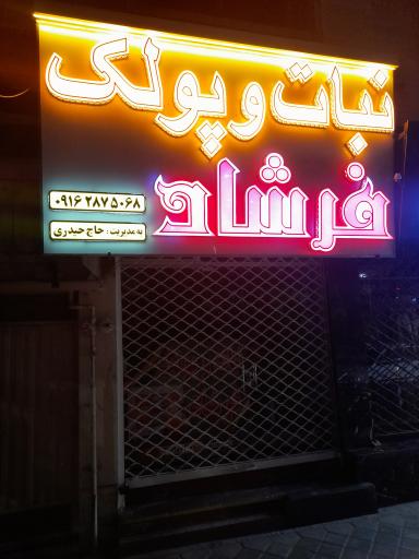 عکس پولک و نبات فرشاد