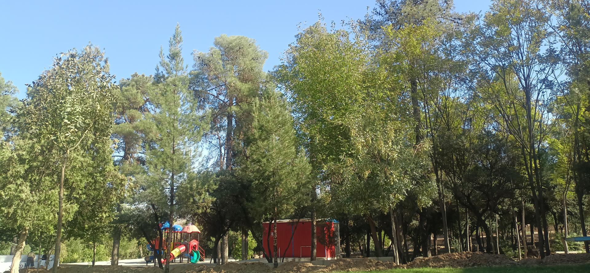 عکس بوستان شهر