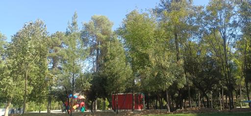 عکس بوستان شهر