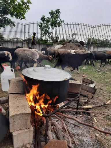 عکس آش دودی خاله خانم (شعبه ۲)