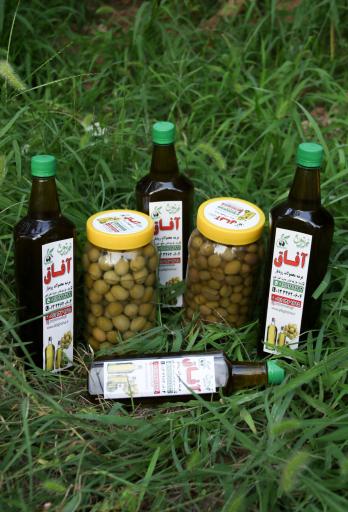 عکس زيتون آفاق