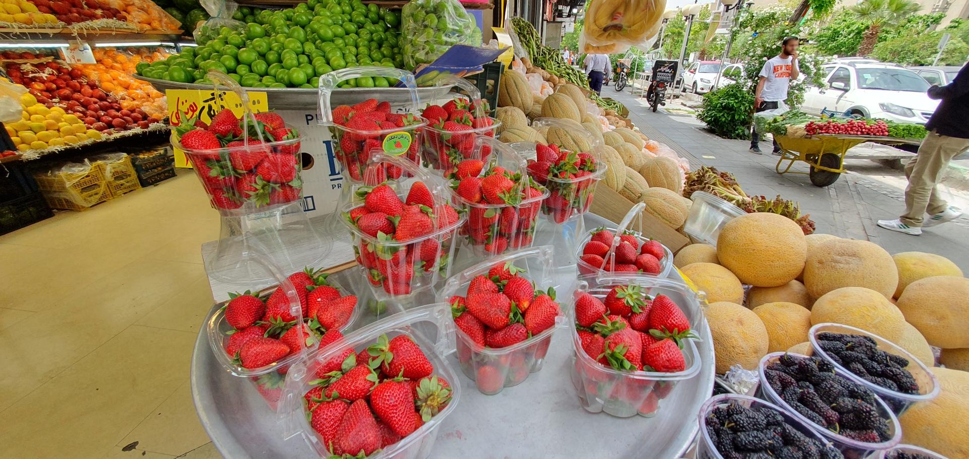 عکس میوه فروشی محسن