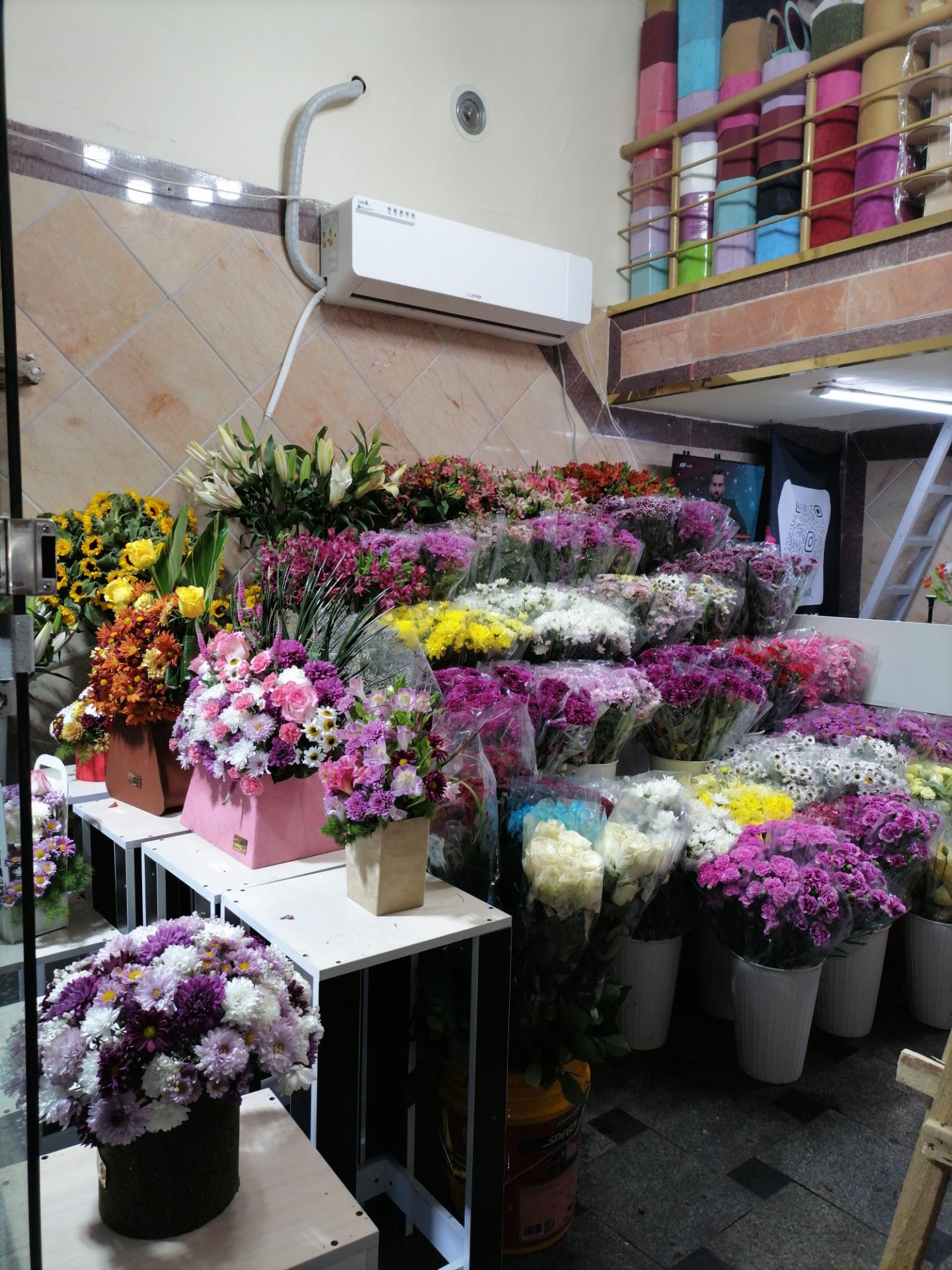 عکس گلفروشی صنم